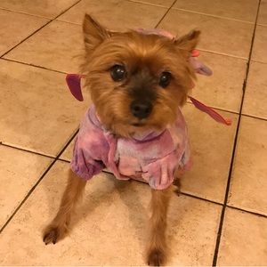 NWOT : purple pet dragon costume